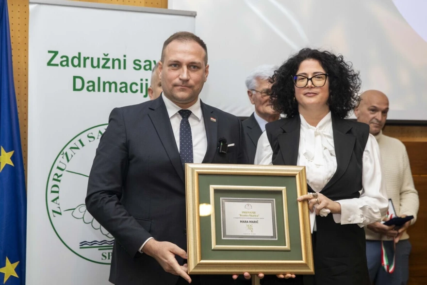 noćnjak