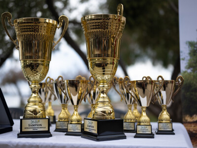 Laureati Dana masline