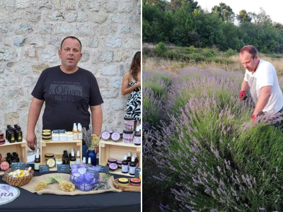 Lavanda pod stonskim zidinama