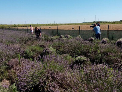 I TV ekipa na žetvi