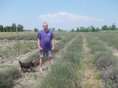 Davor Hržica u svojoj lavandi