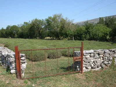 Lavanda u Biteliću