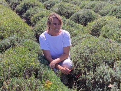 Lavandina polja u Udbini Lavandina polja u Udbini