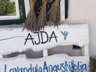 Lavandina polja u Udbini Lavandina polja u Udbini