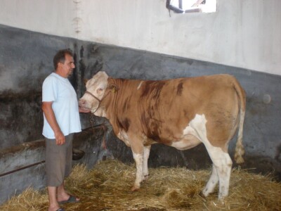 Lazar Stepanov iz Elemira