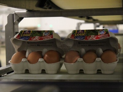 LDC L'oeuf - francuska jaja premijum kvaliteta