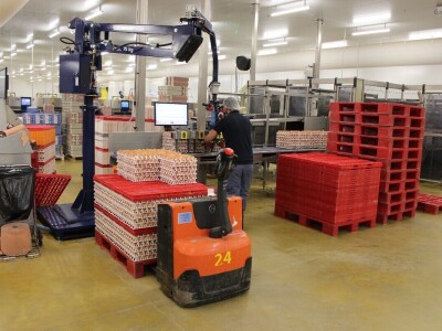 LDC L'oeuf - francuska jaja premium kvaliteta