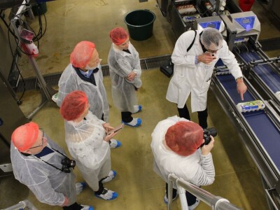 LDC L'oeuf - francuska jaja premium kvaliteta