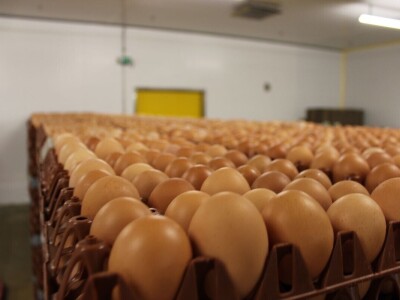 LDC L'oeuf - francuska jaja premium kvaliteta