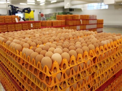 LDC L'oeuf - francuska jaja premium kvaliteta