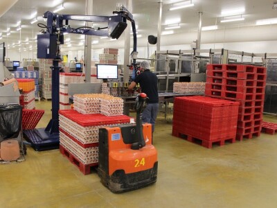 LDC L'oeuf - francuska jaja premium kvalitete