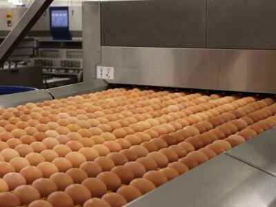 LDC L'oeuf - francuska jaja premium kvalitete