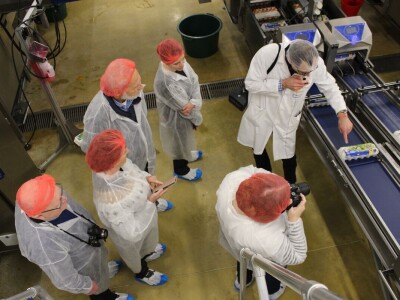 LDC L'oeuf - francuska jaja premium kvalitete