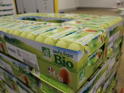 LDC L'oeuf - francuska jaja premium kvalitete