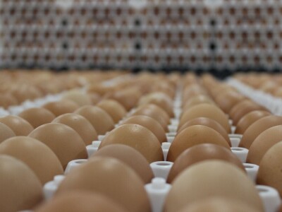 LDC L'oeuf - francuska jaja premium kvalitete