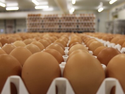 LDC L'oeuf - francuska jaja premium kvalitete