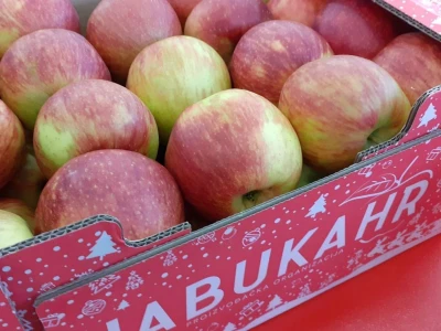 LDC u Križu - PZ jabukaHR