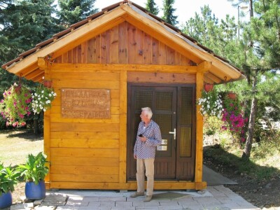 Lečenje vazduhom iz košnica