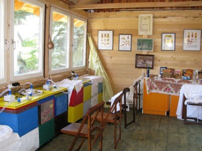 Lečenje vazduhom iz košnica