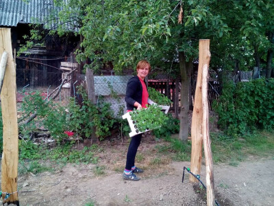 Oživjeli Hadžijin mlin i zasadili dulum malina Oživjeli Hadžijin mlin i zasadili dulum malina