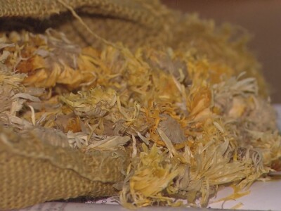 Lekovito i aromatično bilje