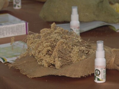 Lekovito i aromatično bilje