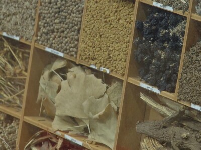 Lekovito i aromatično bilje