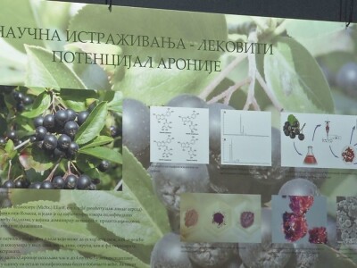 Lekovito i aromatično bilje