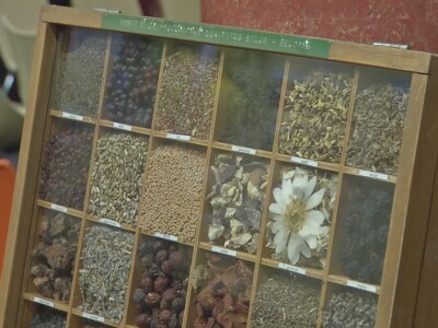 Lekovito i aromatično bilje