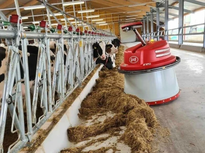 Lely
