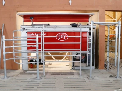 Lely