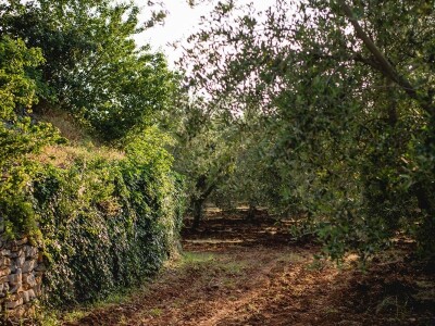 Lena Puhar O'Grady: Posjet Gordona Ramseya otvorio nam je američko tržište Lena Puhar O'Grady: Posjet Gordona Ramseya otvorio nam je američko tržište