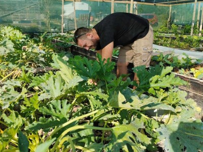 Leonardo Štokić - OPG Le'olive Leonardo Štokić - OPG Le'olive