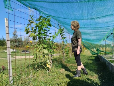 Leonardo Štokić - OPG Le'olive Leonardo Štokić - OPG Le'olive