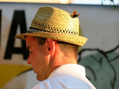 Smotra istarskih volova