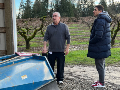 Lešnik u Srbobranu i Oregonu (SAD) Lešnik u Srbobranu i Oregonu (SAD)