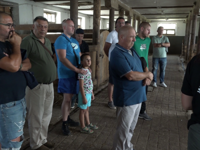 Licitacija na ergeli "Vučijak"