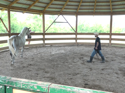 Licitacija na ergeli "Vučijak"