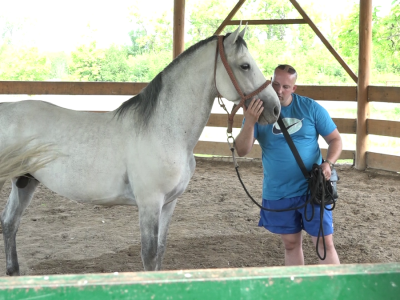Licitacija na ergeli "Vučijak"