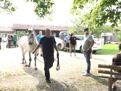 Licitacija na ergeli "Vučijak"