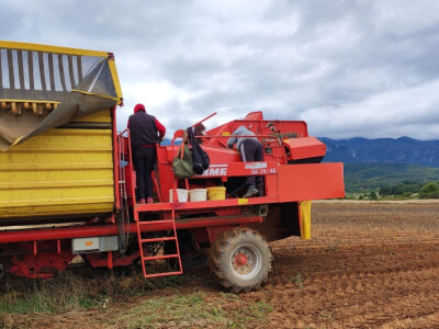Lički krumpir, tvrtka Agrovelebit
