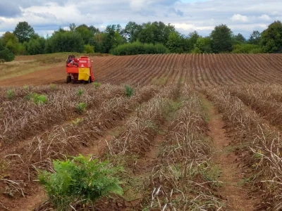 Lički krumpir, tvrtka Agrovelebit