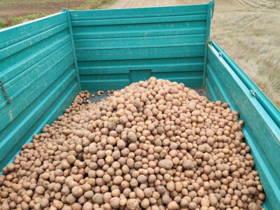 Lički krumpir, tvrtka Agrovelebit