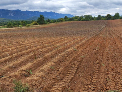 Lički krumpir, tvrtka Agrovelebit