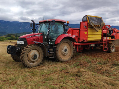 Lički krumpir, tvrtka Agrovelebit