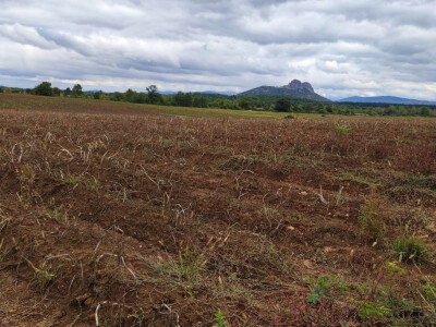 Lički krumpir, tvrtka Agrovelebit
