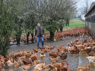 Lideri francuske proizvodnje premium piletine