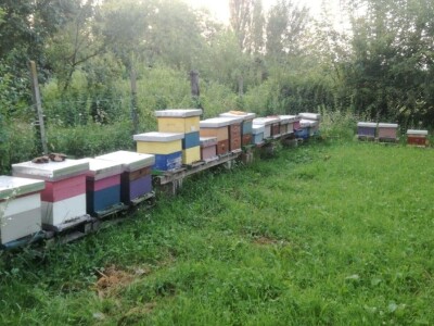 Lijepo je biti sam svoj gazda Lijepo je biti sam svoj gazda