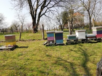 Lijepo je biti sam svoj gazda Lijepo je biti sam svoj gazda