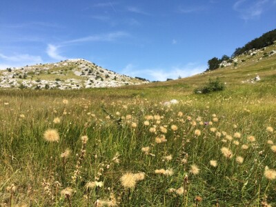 Ličke planine - više od sunca i mora Ličke planine - više od sunca i mora